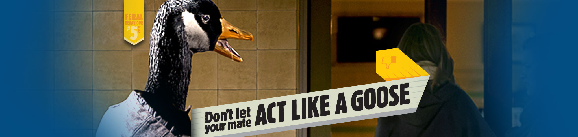 Don't let your mate act like a goose