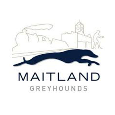 Maitland Greyhounds